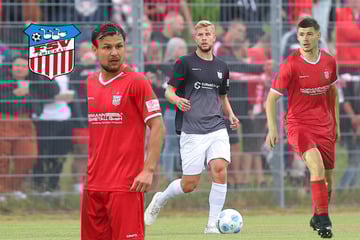 Startsev, Somnitz, Ziemer: Kapitänsfrage beim FSV entschieden