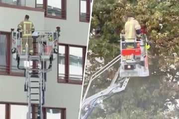 Berlin: Diesen Einsatz wird sie wohl nie vergessen! Feuerwehrmann im Auftrag der Liebe unterwegs