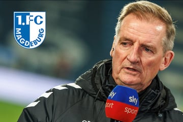 Nach Sieg gegen Nürnberg: 1. FC Magdeburg verfällt nicht in Euphorie