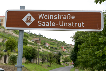 Beliebtes mitteldeutsches Weinanbaugebiet: Winzer beklagen "Totalausfall"