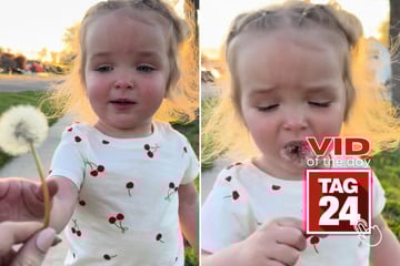 Viral Video of the Day for April 19, 2026: Toddler shoves dandelion straight into her mouth in hilarious TikTok