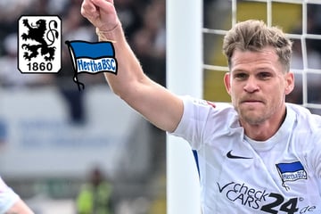 Von Alter Dame zu Münchner Löwen: Niederlechner hat beim TSV 1860 unterschrieben