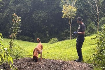 Deutscher und Österreicherin grausam in Costa Rica ermordet: Paar wurde erschossen