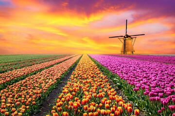 Today's horoscope: Free daily horoscope for Friday, March 13, 2026