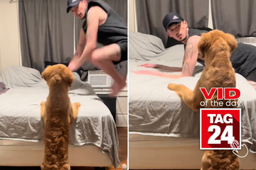 Viral Video of the Day for May 13, 2024: "Gentle parenting" does wonders for dog dad!
