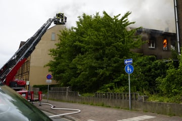 Hausbrand sorgt für großen Feuerwehreinsatz: Straße voll gesperrt