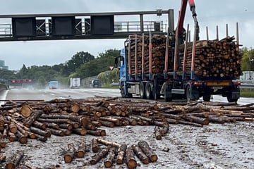 Unfall A5: Holz-Chaos auf der A5: Umgekippter Lastwagen sorgt für Mega-Stau!