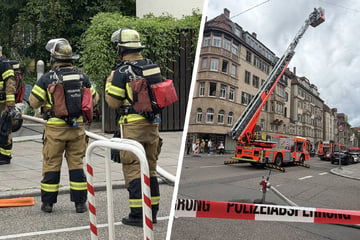 Stuttgart: Hausbrand in Stuttgart: Person und zwei Katzen über Drehleiter gerettet