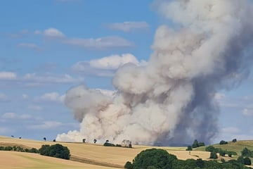 Mega-Rauchwolke: 15 Hektar Gerste bei Feldbrand vernichtet