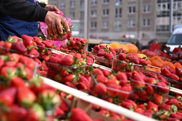 Leipzig: Kein Platz mehr für Wochenmarkt: Mega-Events zwingen Händler zum Umzug