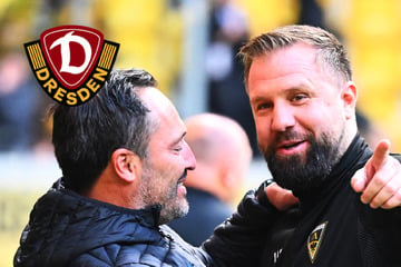 Dynamo Dresden to Eitel? Aachen-Coach Backhaus stichels nach Remis