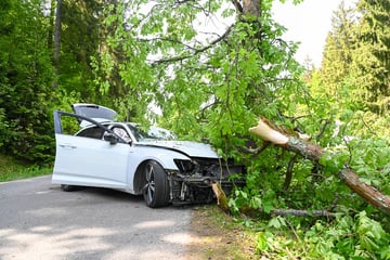 Kastanie bricht bei Unfall im Erzgebirge ab: Fahrerin verletzt