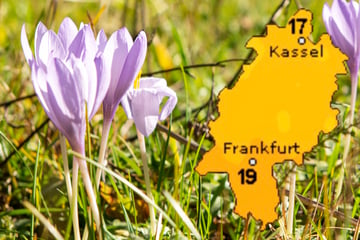 Heiter und bis zu 19 Grad: Das Wetter in Frankfurt und Hessen