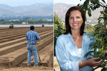 Trump's immigration raids threaten food security, farmers warn