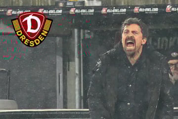 Dynamo-Coach Stamm ist die Ruhe in Person: "Habe keinen anderen Druck"