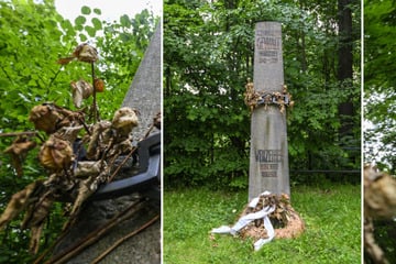 Denkmal um die Opfer der DDR-Diktatur auf dem Kaßberg verlottert: Was sagt die Stadt?
