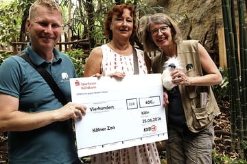Zum Schutz asiatischer Singvögel: KVB überreichen Kölner Zoo Spende