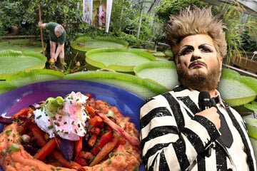 Noch keine Idee für den Samstag? Diese Magdeburger Events wollen besucht werden