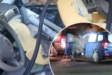 Bär sperrt sich in Subaru ein, dann beginnt die Orgie der Zerstörung