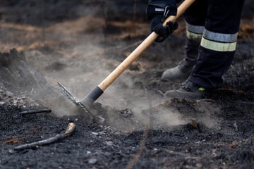 Feuer auf Saalfelder Höhe unter Kontrolle