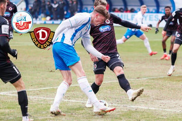 Als Nächstes kommt Dynamo: Hansa Rostock ringt mit eigenem "Kartoffelacker"