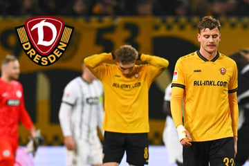 Dynamo-Dresden-Blog: Konkurrenz spielt nicht mit! SGD muss weiter zittern