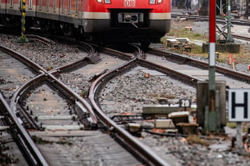 Davanti alla sua famiglia: il turista viene investito da un treno della S-Bahn e muore