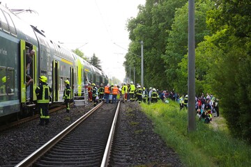 Baum auf Gleise gestürzt: Zugverkehr im Norden eingeschränkt
