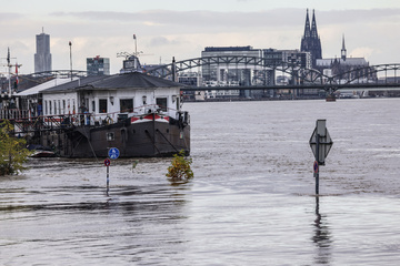 Hochwasser-Lage in Köln weiter akut: Sitzbänke im Wasser und langsame Schiffe