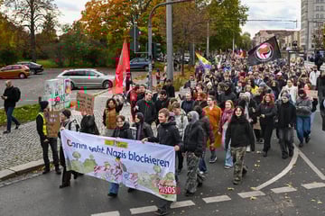 "Stadtbild"-Demo in Dresden: 250 Menschen gehen auf die Straße