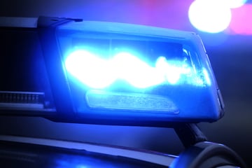 Betrunkene erfasst fast Fußgängerin mit Hund: Polizei kann Frau dank eines Zeugen festnehmen
