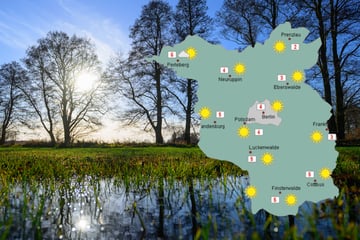 Mitten im Dezember: Berlin und Brandenburg kratzen an der 10-Grad-Marke