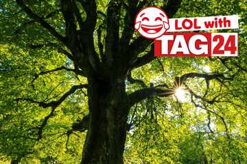 Joke of the Day for January 12, 2026: Kickstart your week with fun