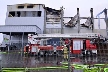 Gemüsebetrieb steht in Flammen: Schaden geht in die Millionen