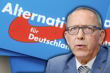 Migranten-Stopp und Stellenabbau bei Ministerien: Das will die AfD 2026