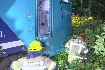 Zug rammt umgestürzte Bäume: Fahrgäste müssen evakuiert werden