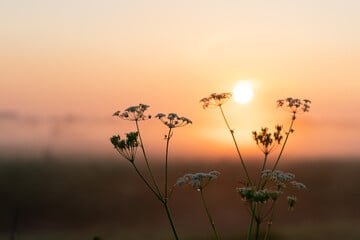 Horoskop heute: Tageshoroskop kostenlos für den 29.9.2024