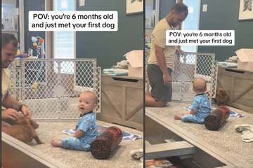 Baby's reaction to puppy shocks everyone!