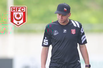 So verspielt der Hallesche FC wieder den Aufstieg