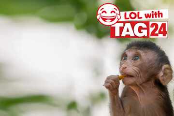 Joke of the Night for March 5, 2026: Some monkeying around!