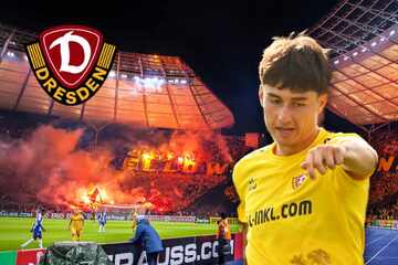 Dynamo zweimal live gesehen und infiziert: Neuzugang Covic schwärmt vom "Wahnsinn"