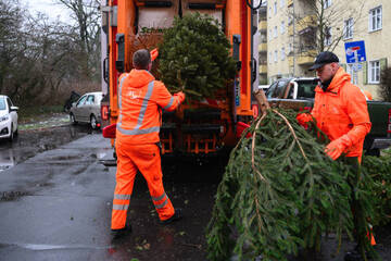 Berlin: Wann werden in Berlin die Weihnachtsbäume eingesammelt?