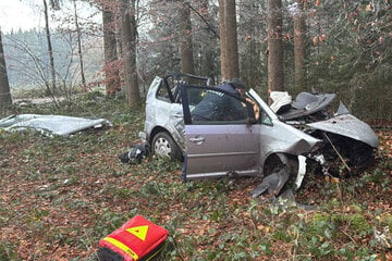 Mit 150 Sachen in Waldstück gekracht: Junger Autofahrer (21) in Klinik geflogen