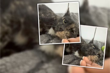 Tessa wurde nie vermisst - nun will sie endlich geliebt werden