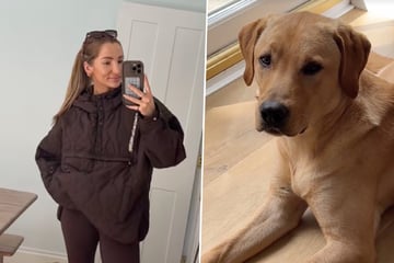 Frau macht Fehler, als sie Labrador allein lässt: Ein Blick auf die Tierkamera bricht ihr Herz