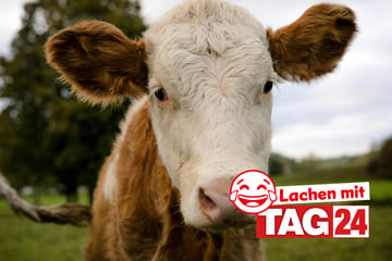 Witz des Tages vom 15.10.2024 - Täglich lachen mit TAG24