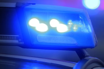 Frankfurt: In den Unterarm! Polizeieinsatz in Frankfurt wird zu einer bissigen Angelegenheit