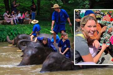 Tourist fatally impaled with tusk while bathing with elephants in Thailand