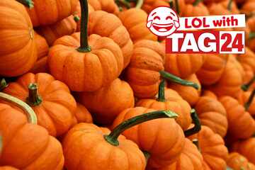 Joke of the Day for October 29, 2024: The best Halloween jokes to get your funny on