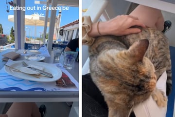 Frau geht im Urlaub essen, dann gesellt sich ein kuscheliger Gast hinzu